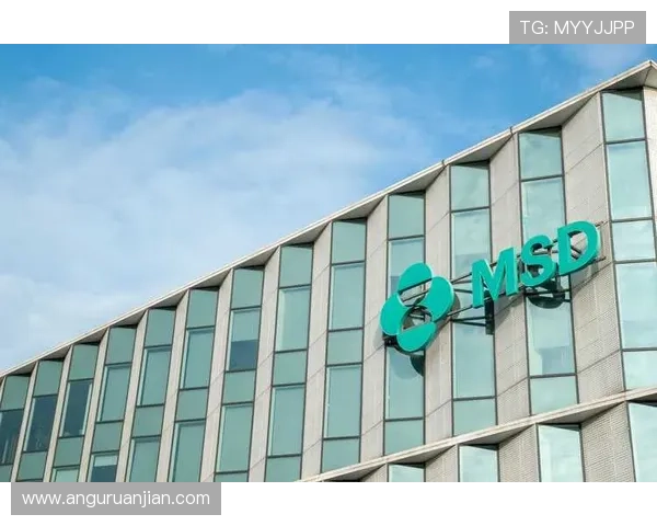 尊龙z6.com登录入口最新版本,确保用户使用最稳定的登录环境享受优质服务