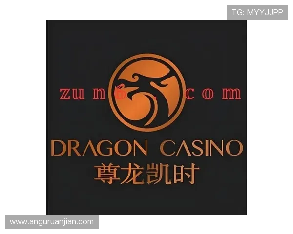 探讨尊龙凯时平台网页版的安全性与稳定性保障措施